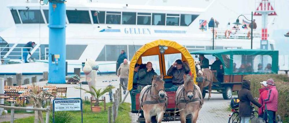 Landausflug mit zwei PS. Schließlich ist Hiddensee auch autofrei.Foto: picture-alliance