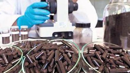 Blattwerk zu Biokohle. Noch ist das Verfahren nicht industriereif, aber es ist auf dem Weg: aus welkem Laub werden Biokohle-Pellets gemacht. Daran arbeiten Umland-Firmen wie Suncoal Industries (Foto) oder Carbon Solutions. Foto: promo