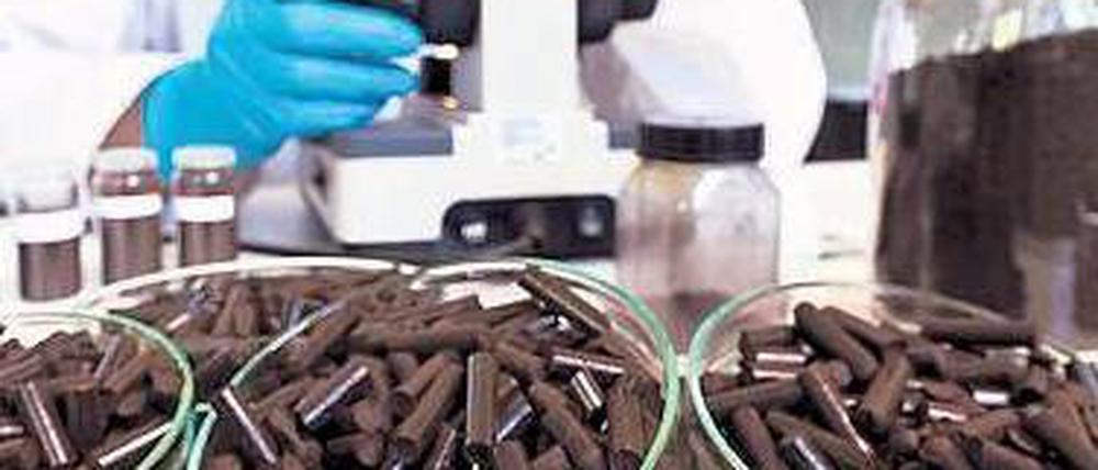 Blattwerk zu Biokohle. Noch ist das Verfahren nicht industriereif, aber es ist auf dem Weg: aus welkem Laub werden Biokohle-Pellets gemacht. Daran arbeiten Umland-Firmen wie Suncoal Industries (Foto) oder Carbon Solutions. Foto: promo
