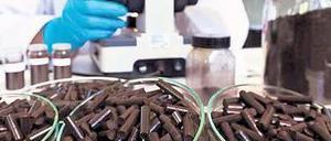 Blattwerk zu Biokohle. Noch ist das Verfahren nicht industriereif, aber es ist auf dem Weg: aus welkem Laub werden Biokohle-Pellets gemacht. Daran arbeiten Umland-Firmen wie Suncoal Industries (Foto) oder Carbon Solutions. Foto: promo