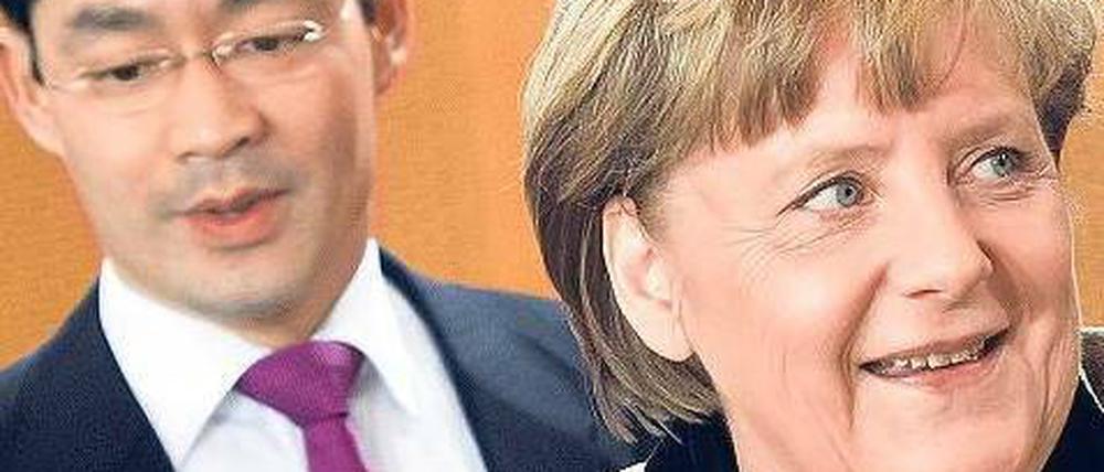 Bitte recht freundlich. CDU-Chefin Angela Merkel und FDP-Chef Philipp Rösler gaben sich am Sonntagabend beim Koalitionsausschuss alle Mühe, Harmonie auszustrahlen. Nach der Arbeit gab es sogar noch ein Glas Rotwein. Foto: Clemens Bilan/dapd