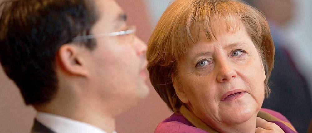 Es knistert in der Koalition: FDP Chef Philipp Rösler und Bundeskanzlerin Angela Merkel (CDU).