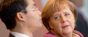 Es knistert in der Koalition: FDP Chef Philipp Rösler und Bundeskanzlerin Angela Merkel (CDU).