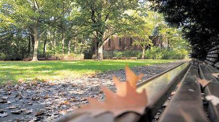 Ein Park, der keiner ist: Der Don-Ugoletti-Platz in Grünau. Liebe Leserinnen, liebe Leser, klicken Sie hier, um zu kommentieren, zu kritisieren und um Verbesserungsvorschläge für den Don-Ugoletti-Platz zu machen. Wir wünschen eine spannende Debatte! 
