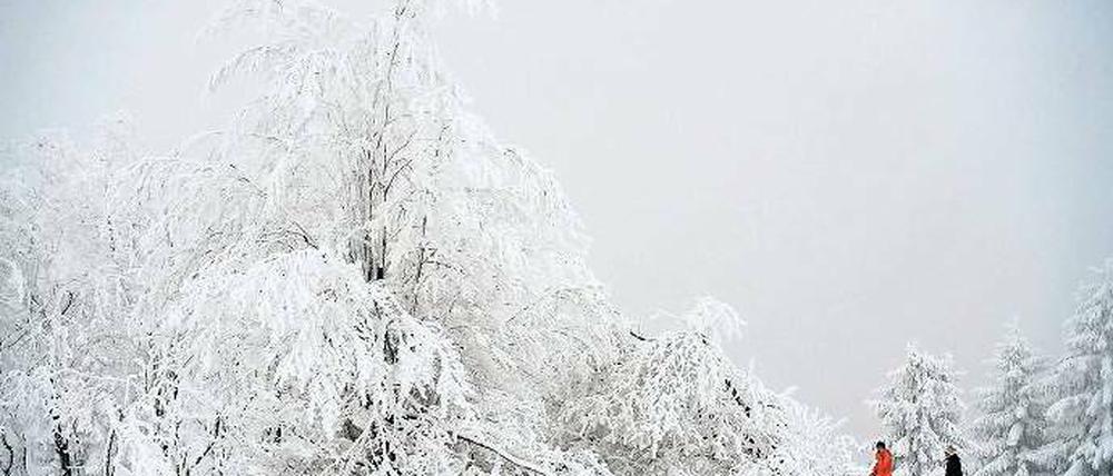 Winterlandschaft. Wanderer auf dem Kahlen Asten im Hochsauerland. 