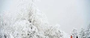 Winterlandschaft. Wanderer auf dem Kahlen Asten im Hochsauerland.