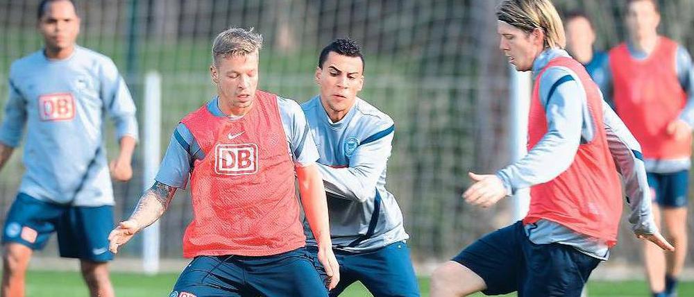 Am Ball, zumindest im Training. Peter Niemeyer (r.) kämpft um seinen Platz.