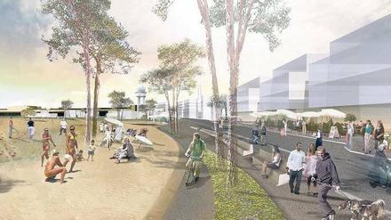 Tempelhofer Freiheit. Internationale Gartenbauausstellung, Wohnen oder Busbahnhof – rund ums Flugfeld gibt es viele Ideen, aber wenig Zusammenhang, kritisiert Senator Müller. 