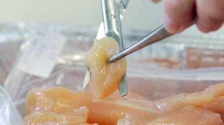 Im Putenfleisch, dass die Angeklagten vertrieben wurden Salmonellen gefunden.