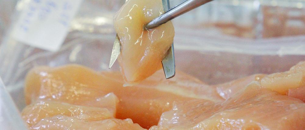 Im Putenfleisch, dass die Angeklagten vertrieben wurden Salmonellen gefunden.