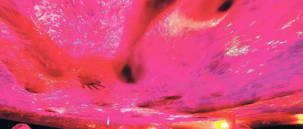 Kopfüber. Die Show findet über den Besuchern statt; die Künstler bewegen sich auf einer quer gespannten Folie. Foto: dapd