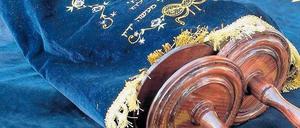 Im Namen der Thora. Potsdam und Erfurt konkurrieren um eine Fakultät.