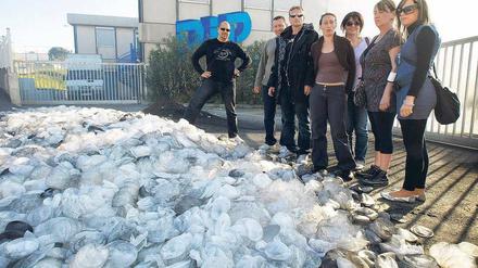 Ausgemustert. Mitarbeiter des französischen Medizintechnik-Unternehmens PIP in La Seyne sur Mer vor einem Berg ausrangierter Brustimplantate. Das Foto entstand im April 2010. Die Firma besteht mittlerweile nicht mehr. Foto: dpa