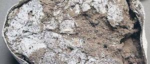 Das Foto zeigt versteinerte Blattreste, die vermutlich als Matten dienten.