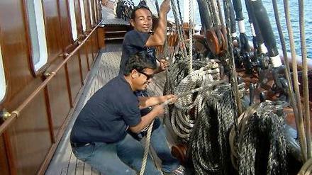 Nicht nur die Crew ist vom Segelvirus befallen. Auch bei den Gästen grassiert diese durchaus chronische "Krankheit"... 