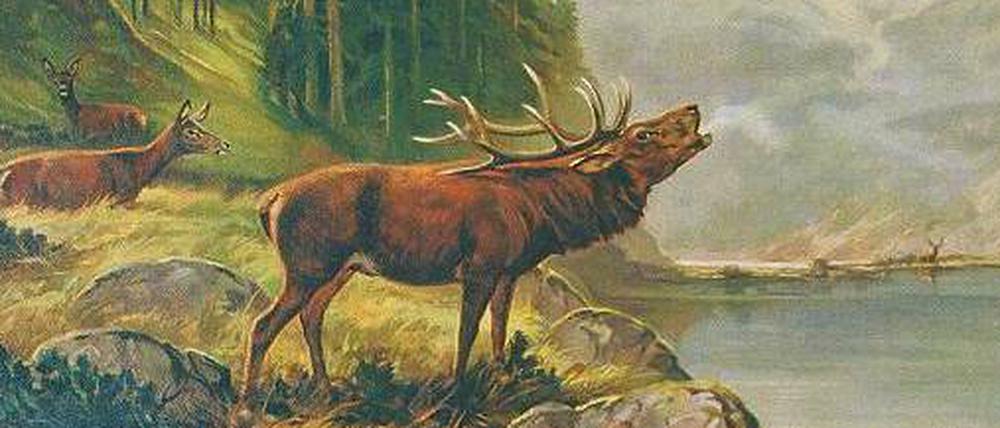 Kitsch und Kult. Röhrender Hirsch auf der Lithografie „Brunftmorgen“, nach einer Vorlage von Moritz Müller, um 1925.