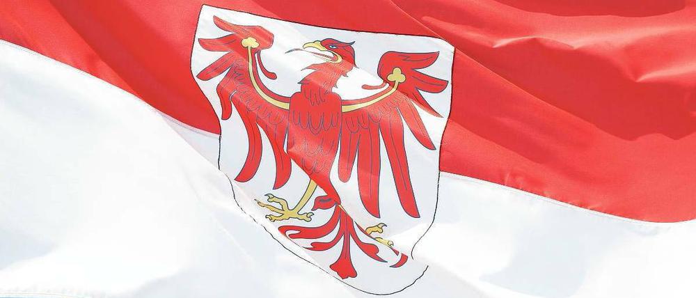 Brandenburgs Gesichter. Potsdams Schlösser: ein Touristenmagnet. Der Lausitzring: teuer erkämpft. „Tropical Islands“: vom Cargo-Lifter-Flop zum Freizeitparadies. Bombodrom: gescheitert dank wehrhaftem Widerstand. Und drei, die regier(t)en: Manfred Stolpe (SPD), Jörg Schönbohm (CDU) und Matthias Platzeck (SPD).