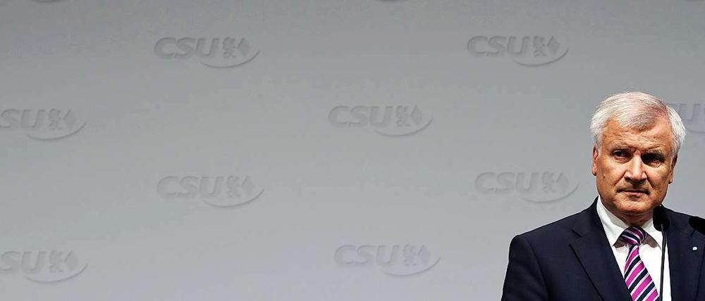 Stellt sich quer: Der CSU-Vorsitzende Horst Seehofer ist nicht einverstanden mit der geplanten Steuerentlastung der Koalition.