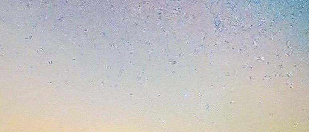 Lob der Finsternis. Sternengucker kommen nur im Dunkeln auf ihre Kosten. Abgelegene Gegenden in Brandenburg bieten dafür ideale Voraussetzungen. Foto: dpa/Pleul