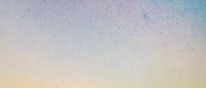 Lob der Finsternis. Sternengucker kommen nur im Dunkeln auf ihre Kosten. Abgelegene Gegenden in Brandenburg bieten dafür ideale Voraussetzungen. Foto: dpa/Pleul