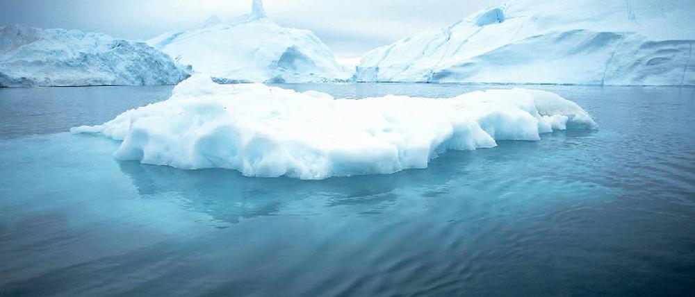 Foto: Science Photo Library