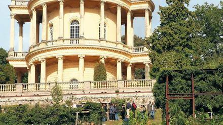 Sonniger Südhang. 300 Kilogramm Weintrauben wurden am historischen Weinberg geerntet. Erstmals ist die Fläche unterhalb des Belvedere auf dem Klausberg im Park Sanssouci in diesem Jahr für Besucher geöffnet. Foto: Nestor Bachmann, dpa