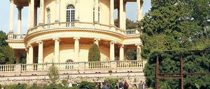 Sonniger Südhang. 300 Kilogramm Weintrauben wurden am historischen Weinberg geerntet. Erstmals ist die Fläche unterhalb des Belvedere auf dem Klausberg im Park Sanssouci in diesem Jahr für Besucher geöffnet. Foto: Nestor Bachmann, dpa