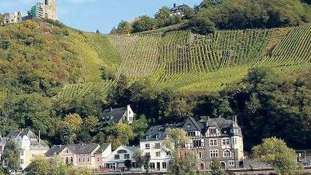 Ein sonniges Ergebnis. Bundesweit wird die Weinlese wohl ähnlich ausfallen wie in den Jahren zuvor, wahrscheinlich rund neun Millionen Hektoliter. Foto: dpa