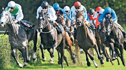 Pferd an Pferd. Zum Preis der Deutschen Einheit werden in Hoppegarten nicht nur spannende Rennen, sondern auch hervorragendes Wetter und viele Wetter erwartet. Foto: dpa