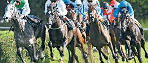 Pferd an Pferd. Zum Preis der Deutschen Einheit werden in Hoppegarten nicht nur spannende Rennen, sondern auch hervorragendes Wetter und viele Wetter erwartet. Foto: dpa