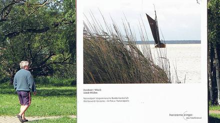 Kunst überrascht den Urlauber auf dem Darß schon lange nicht mehr. Sie ist einfach da, wie beim Umweltfotofestival in Zingst. Foto: dpa