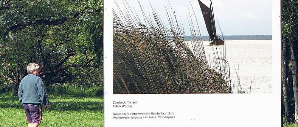 Kunst überrascht den Urlauber auf dem Darß schon lange nicht mehr. Sie ist einfach da, wie beim Umweltfotofestival in Zingst. Foto: dpa