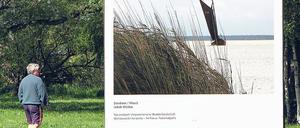 Kunst überrascht den Urlauber auf dem Darß schon lange nicht mehr. Sie ist einfach da, wie beim Umweltfotofestival in Zingst. Foto: dpa