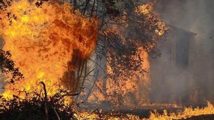 Mehr als 50 Brände haben in Texas bislang 1000 Häuser zerstört.