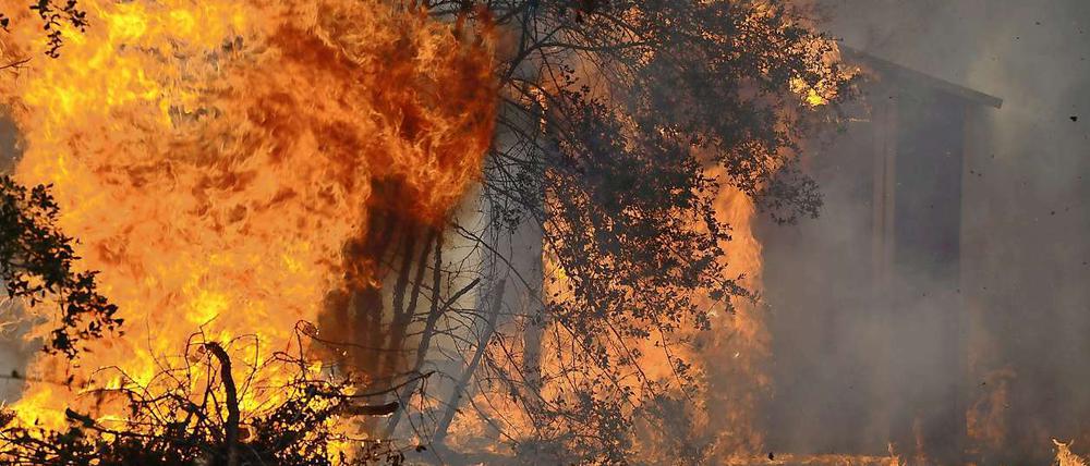 Mehr als 50 Brände haben in Texas bislang 1000 Häuser zerstört.