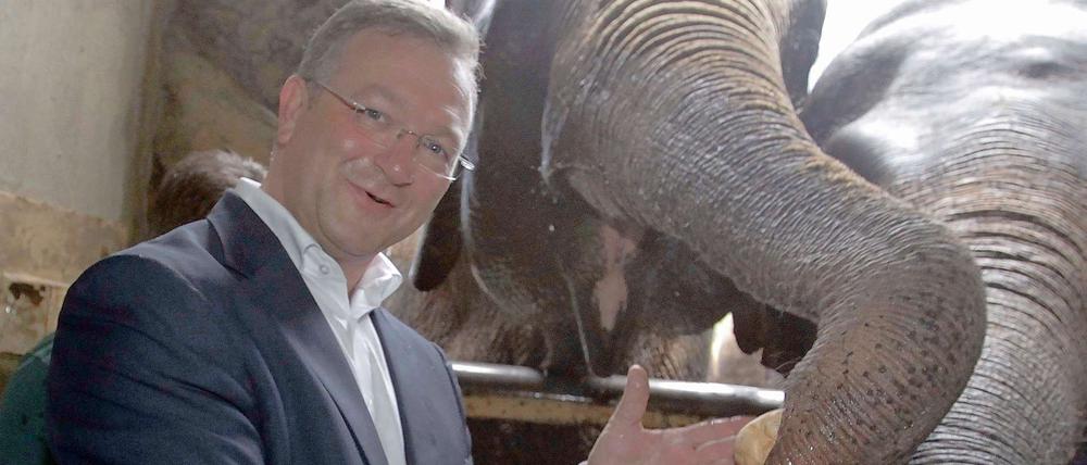 Schwere Physiognomie, Freude am Austeilen. Würden sich Elefanten um innere Sicherheit kümmern? Frank Henkel wurde das Haudrauf-Image seiner Jahre als innenpolitischer Sprecher lange nicht los.