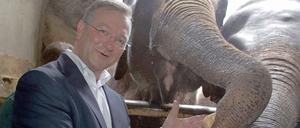 Schwere Physiognomie, Freude am Austeilen. Würden sich Elefanten um innere Sicherheit kümmern? Frank Henkel wurde das Haudrauf-Image seiner Jahre als innenpolitischer Sprecher lange nicht los.