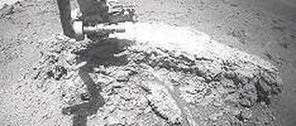 Rollendes Labor. „Opportunity“ analysiert den seltsamen Felsbrocken. Foto: dpa/Nasa
