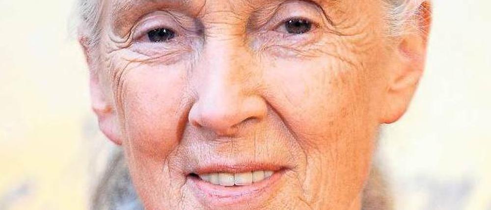 Jane Goodall