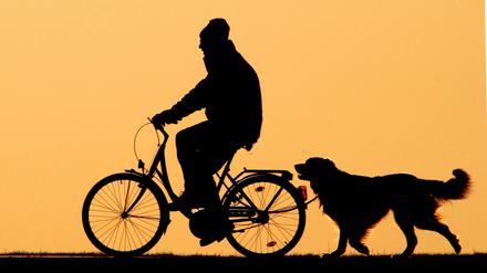 Radfahrer und Hundehalter sind oft egoistisch und rücksichtslos, meint unsere Leserin Annette Winzer.
