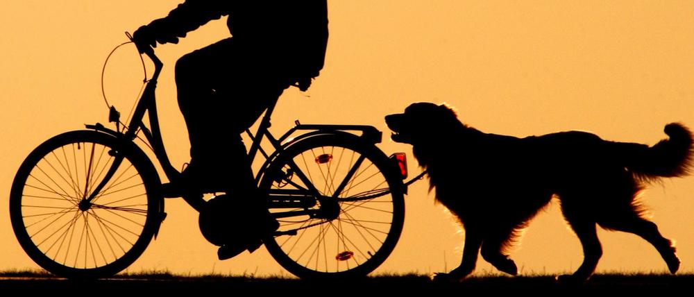 Radfahrer und Hundehalter sind oft egoistisch und rücksichtslos, meint unsere Leserin Annette Winzer.