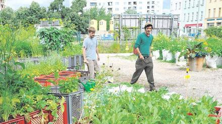 Zurück in die Zukunft. Der Prinzessinnengarten in Berlin zählt zu den vom Nachhaltigkeitsrat ausgezeichneten Projekten. 