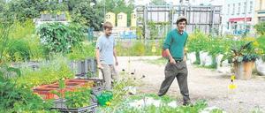 Zurück in die Zukunft. Der Prinzessinnengarten in Berlin zählt zu den vom Nachhaltigkeitsrat ausgezeichneten Projekten. 