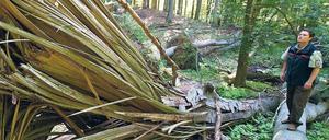 Unberührt. Im Grumsiner Forst ist die Natur sich selbst überlassen.