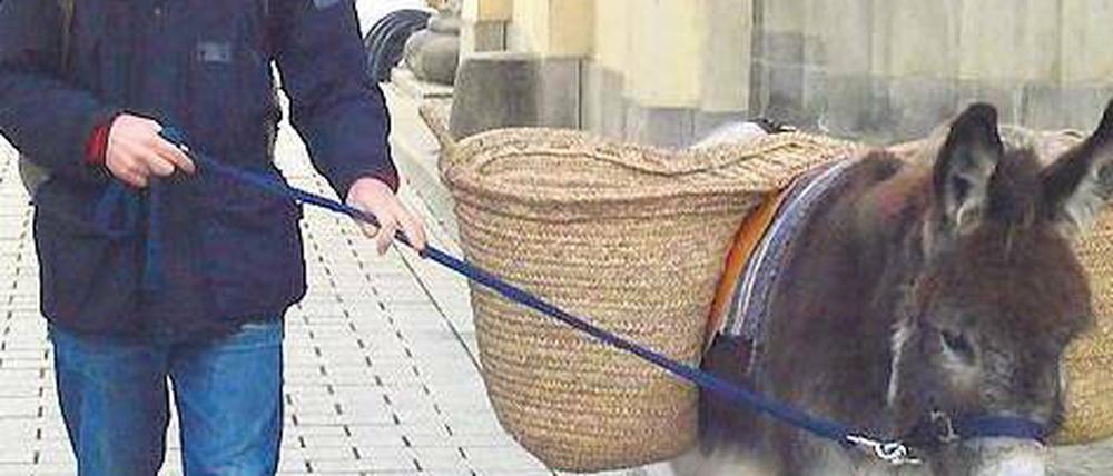 Durchs Brandenburger Tor und dann immer Richtung Norden. Michael Kessler und Wallach Elias kennen den Weg. 