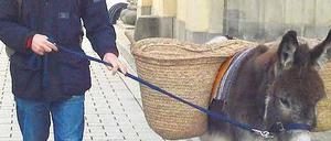 Durchs Brandenburger Tor und dann immer Richtung Norden. Michael Kessler und Wallach Elias kennen den Weg. 