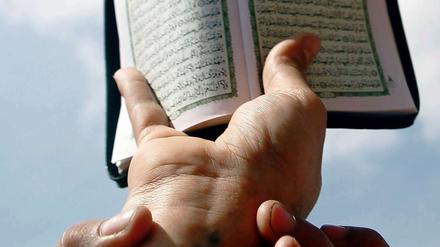 Muslimisches Recht steht im Einklang mit dem Grundgesetz, meint der deutsche Muslim Uwe Wagishauser.