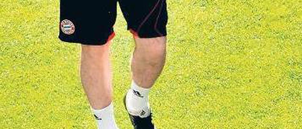 Seine Sonne geht unter. Die Tage von Louis van Gaal beim FC Bayern München sind gezählt, sein Vertrag wurde zum 30. Juni 2011 aufgelöst. Foto: dpa