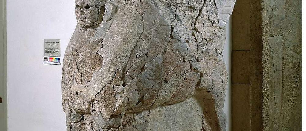 Das Streitobjekt: Die Sphinx von Hattuscha