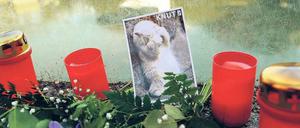 Untröstlich. Noch immer bringen Zoobesucher Blumen, Kerzen und Karten mit zum Eisbärengehege, in dem Knut vor einigen Tagen gestorben ist. 